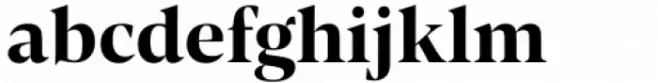 Contane Text Bold