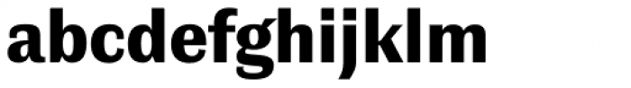 Contemporary Sans Black