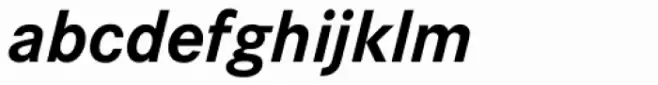 Corporate S Pro Bold Italic