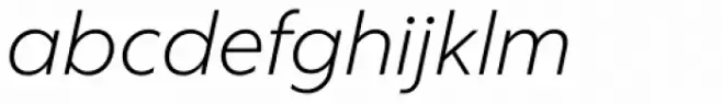 Corsica LX Book Italic