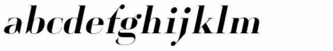 Cosma Oblique Bold