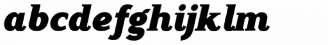 Counte Black Italic