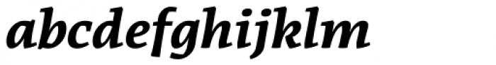 Coupler Bold Italic