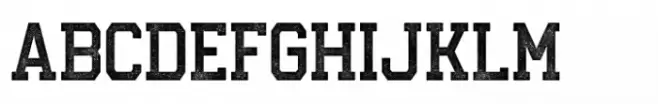 Courage Union Halftone