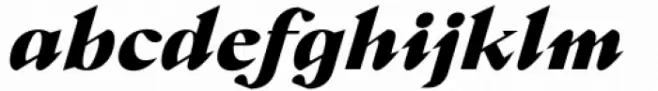 Crucial Black Italic