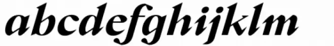 Crucial Bold Italic