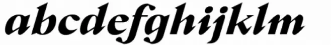 Crucial Extra Bold Italic