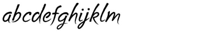 Cruz Script Brush Pro