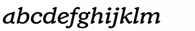 Custer Text Medium Italic