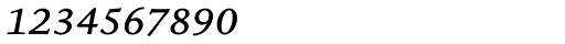Cycles Eleven Italic Fracs