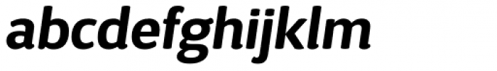 D Sari Bold Italic