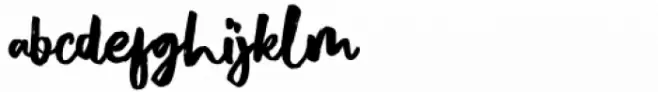 Dalgonis Brush Regular