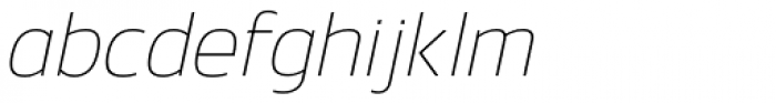 Danos Thin Italic