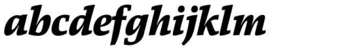 Danton Black Italic