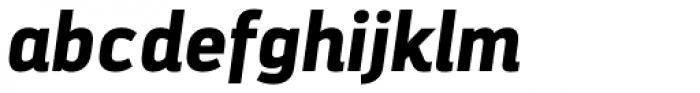 Darwin Alt Black Italic