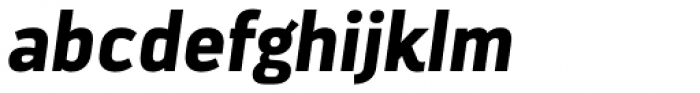Darwin Black Italic
