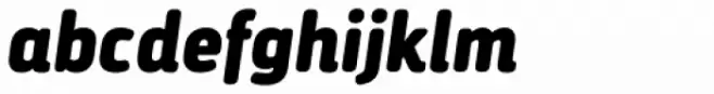 Darwin Essential Rounded Black Italic