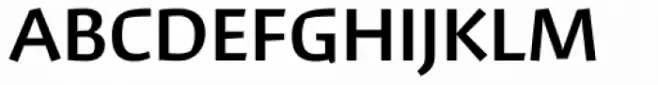 David Hadash Sans Medium
