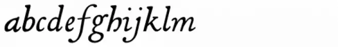 Decimosexto NF Italic