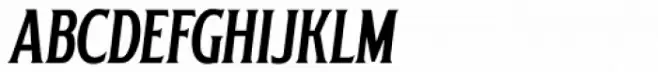 Delighter Script Oblique