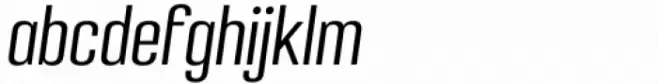 Densa Regular Italic