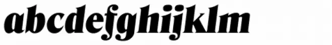 Denver Serial Black Italic