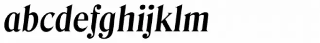 Denver Serial Bold Italic