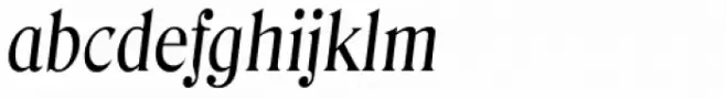 Denver Serial Italic