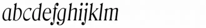 Denver Serial Light Italic