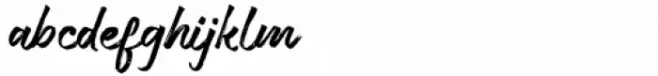 Deysia Brush Regular