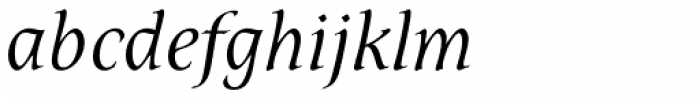 Dez Petranian Light Italic