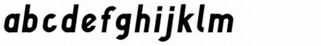 DF Camino Italic