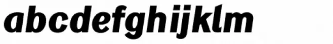 DF Dejavu Pro Black Italic