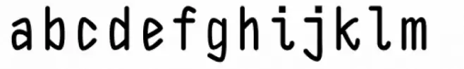 DF Staple Mono Bold