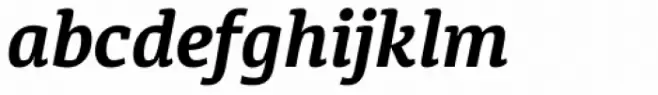 Diaria Pro Bold Italic