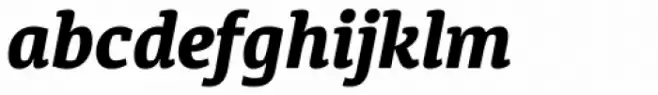 Diaria Pro Extra Bold Italic