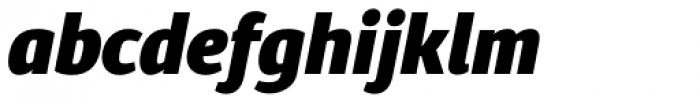Diaria Sans Pro Black Italic