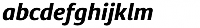Diaria Sans Pro Bold Italic