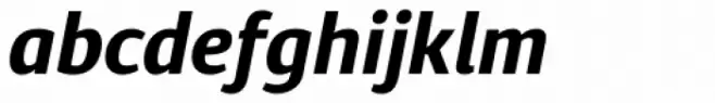 Diaria Sans Pro Bold Italic