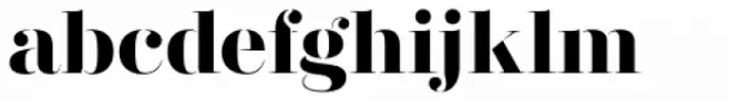 Didonesque Stencil Elegante Bold