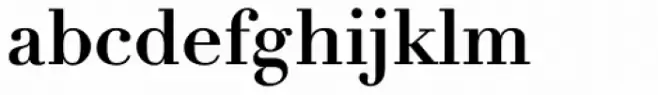 Didot eText Pro Bold