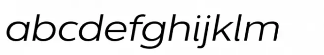 Dienstag Variable Thin Italic