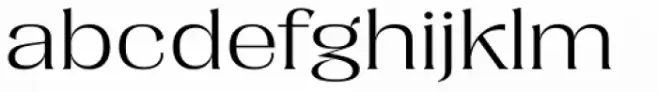 Dilemma Serif Light XP