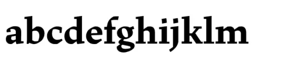 Dingocitta Bold