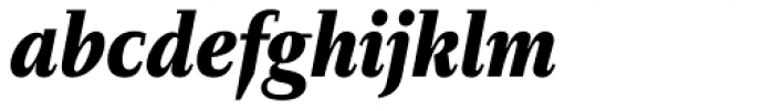 Diogenes Black Italic