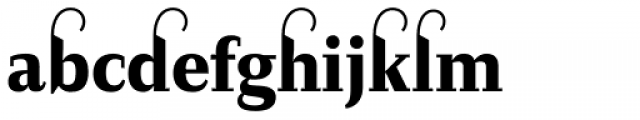 Diogenes Decorative Black 1