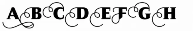 Diogenes Decorative Black All Small Caps