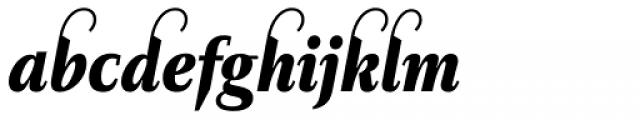 Diogenes Decorative Black Italic 1