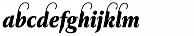 Diogenes Decorative Black Italic 1