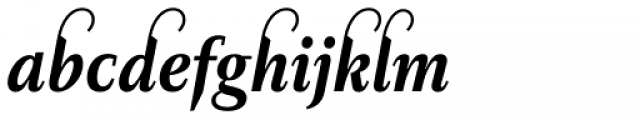 Diogenes Decorative Bold Italic 1
